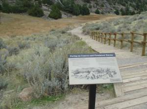 DSC02398_Martin´s_Cove