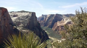 Blick in den Zion Canyon