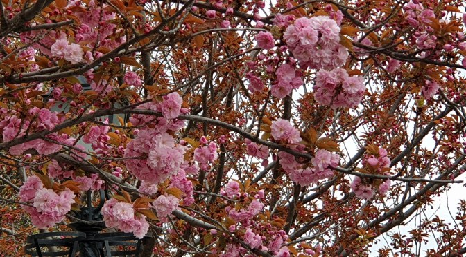 Ostern und der Kern der Sache