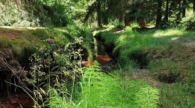 Ein Abend in der Klinik / An evening in the hospital